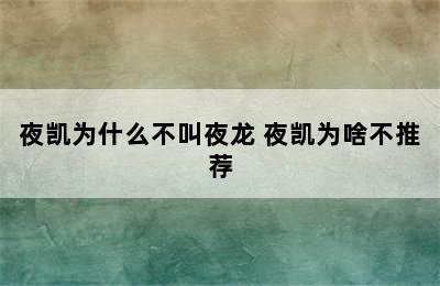 夜凯为什么不叫夜龙 夜凯为啥不推荐